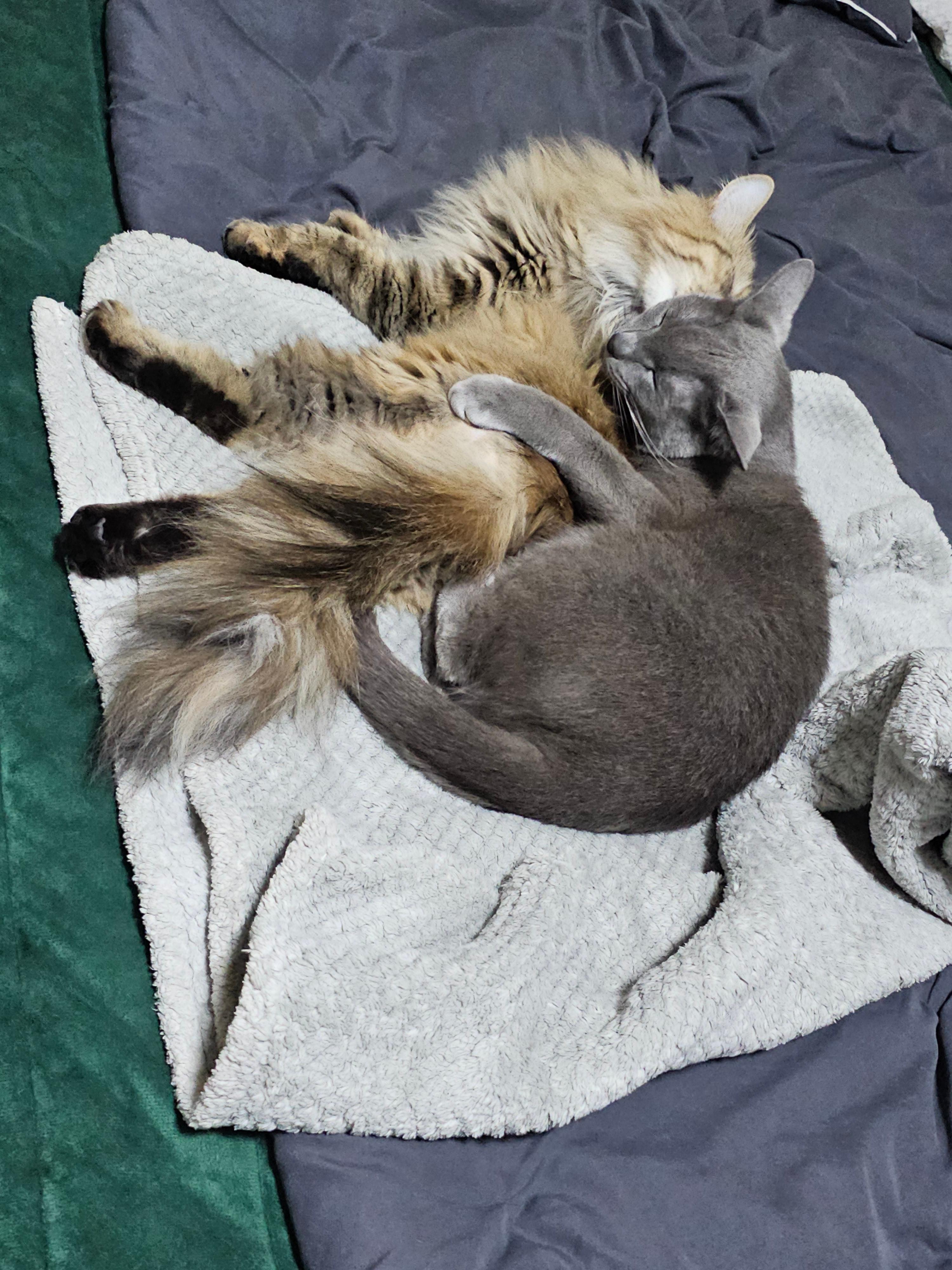 수명 연장 관리법