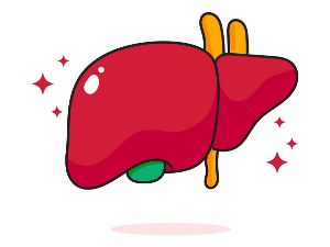 간암 초기 증상/간암에 좋은 음식