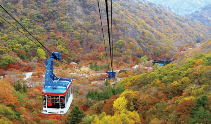 22년 내장산 국립공원 케이블카