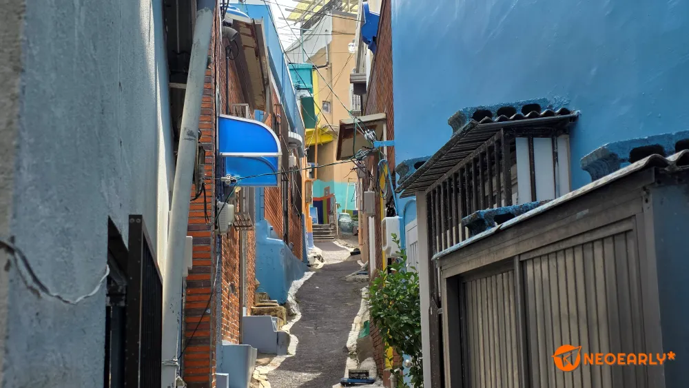 수많은 사연을 쌓아왔을 오래된 골목이 많습니다.