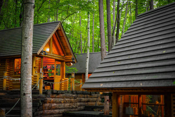 미세먼지 없는 국내 숲속 숙소2