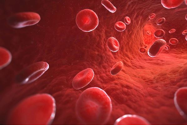 폴리코사놀의-효능