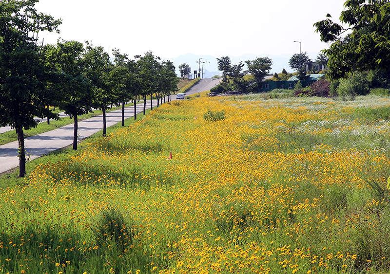 경남 밀양아리랑 오토캠핑장 소개