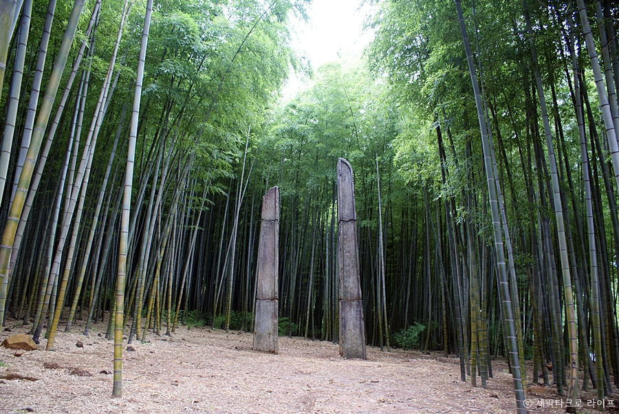 아홉산숲