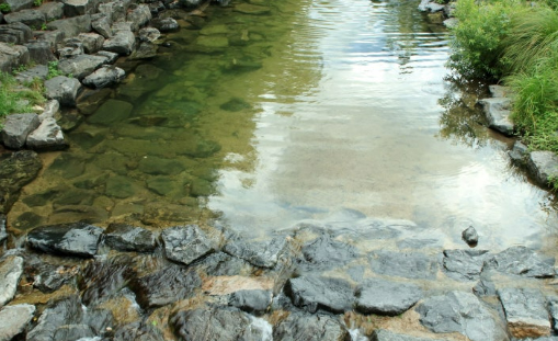 돌다리가 있는 계곡