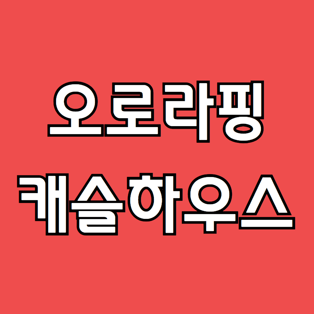 오로라핑 캐슬하우스 구매방법 솔직후기