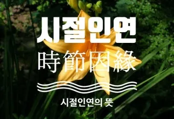 시절인연 뜻과 한자 時節因緣 영어로 해설집_24