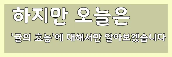  하지만 오늘은 '귤의 효능'에 대해서만 알아보겠습니다