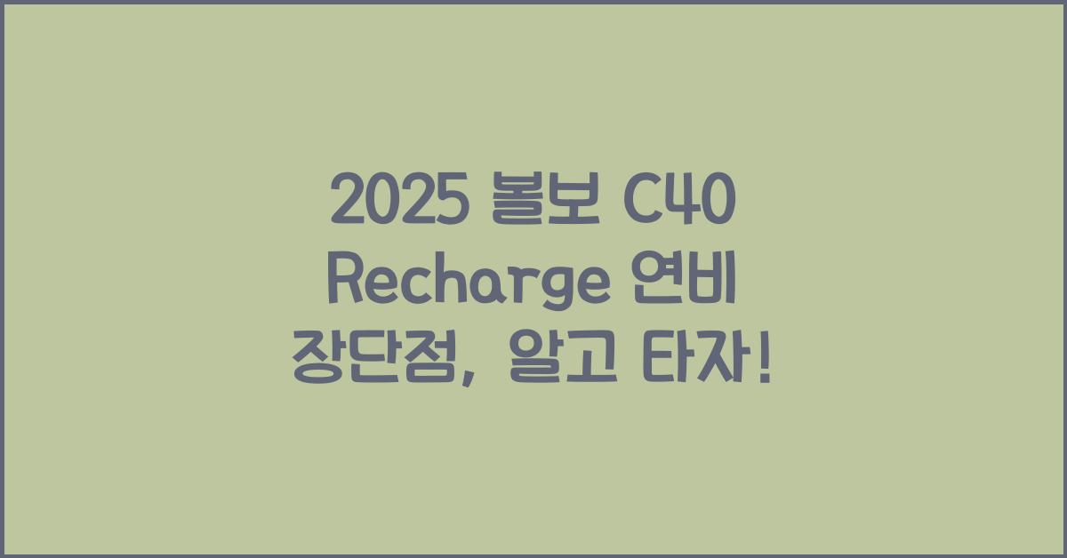 2025 볼보 C40 Recharge 연비 장단점