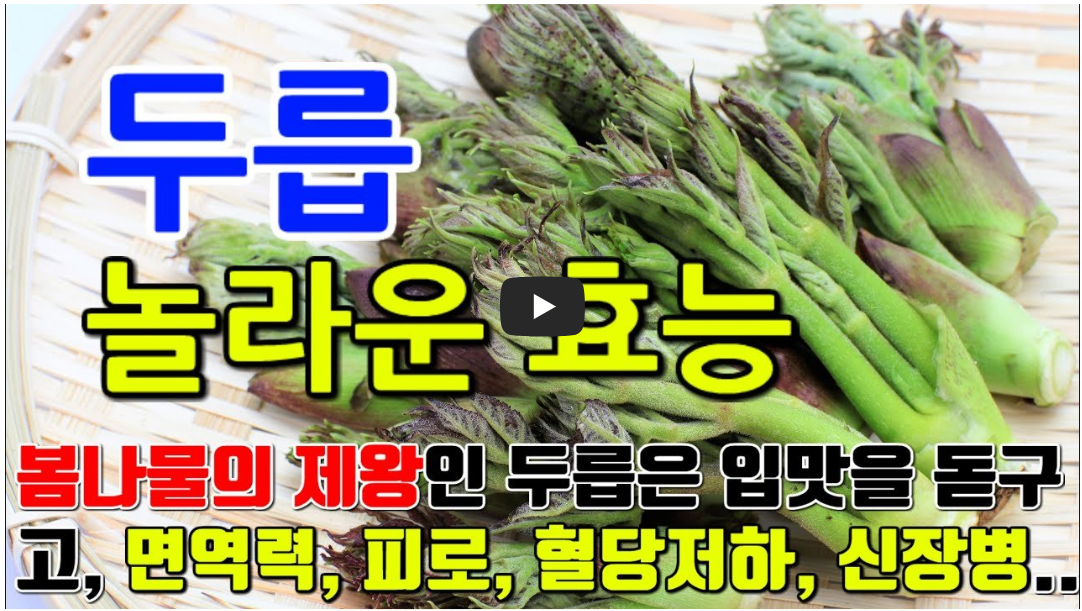 두릅 효능 유튜브 영상 캡쳐