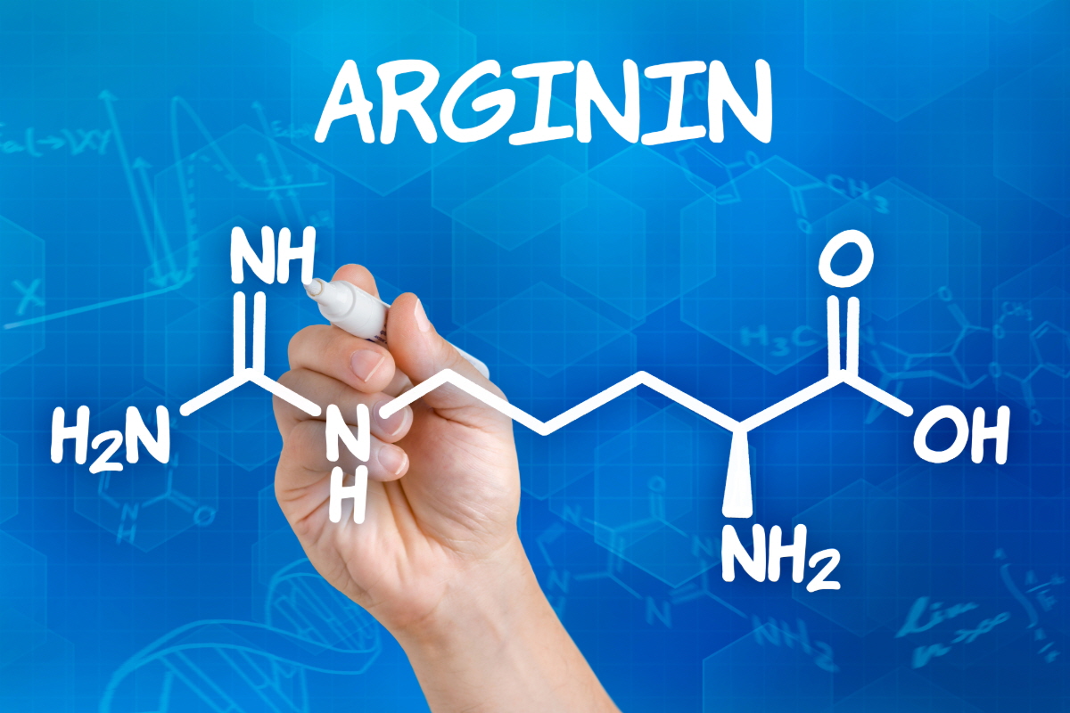 아르기닌 효능