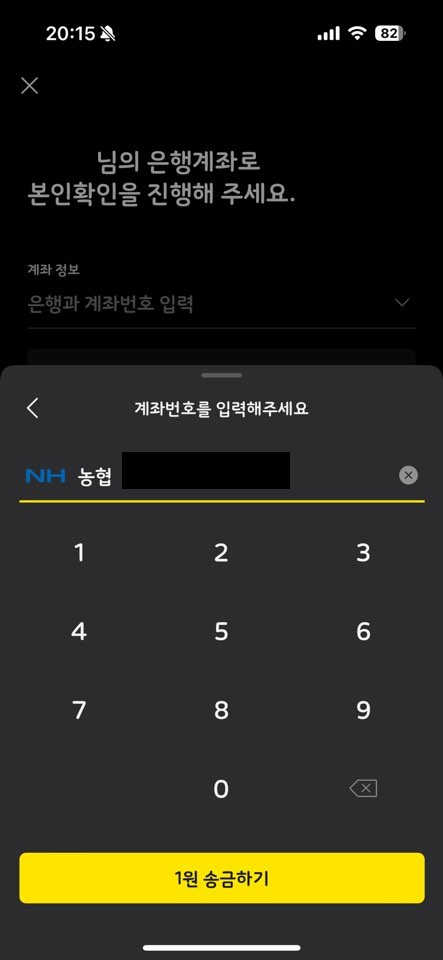 카카오톡 공인인증서(6)