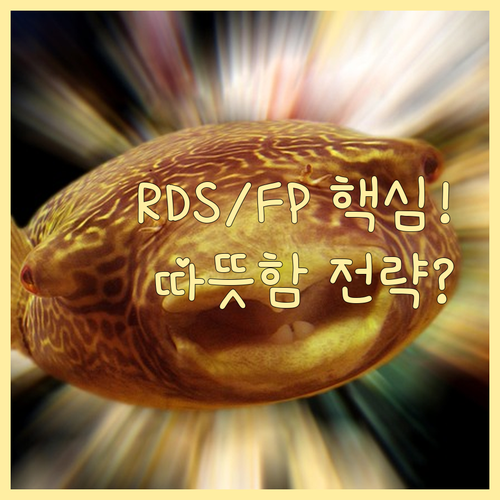 RDS 인증과 FP 균형! 오래도록 ..