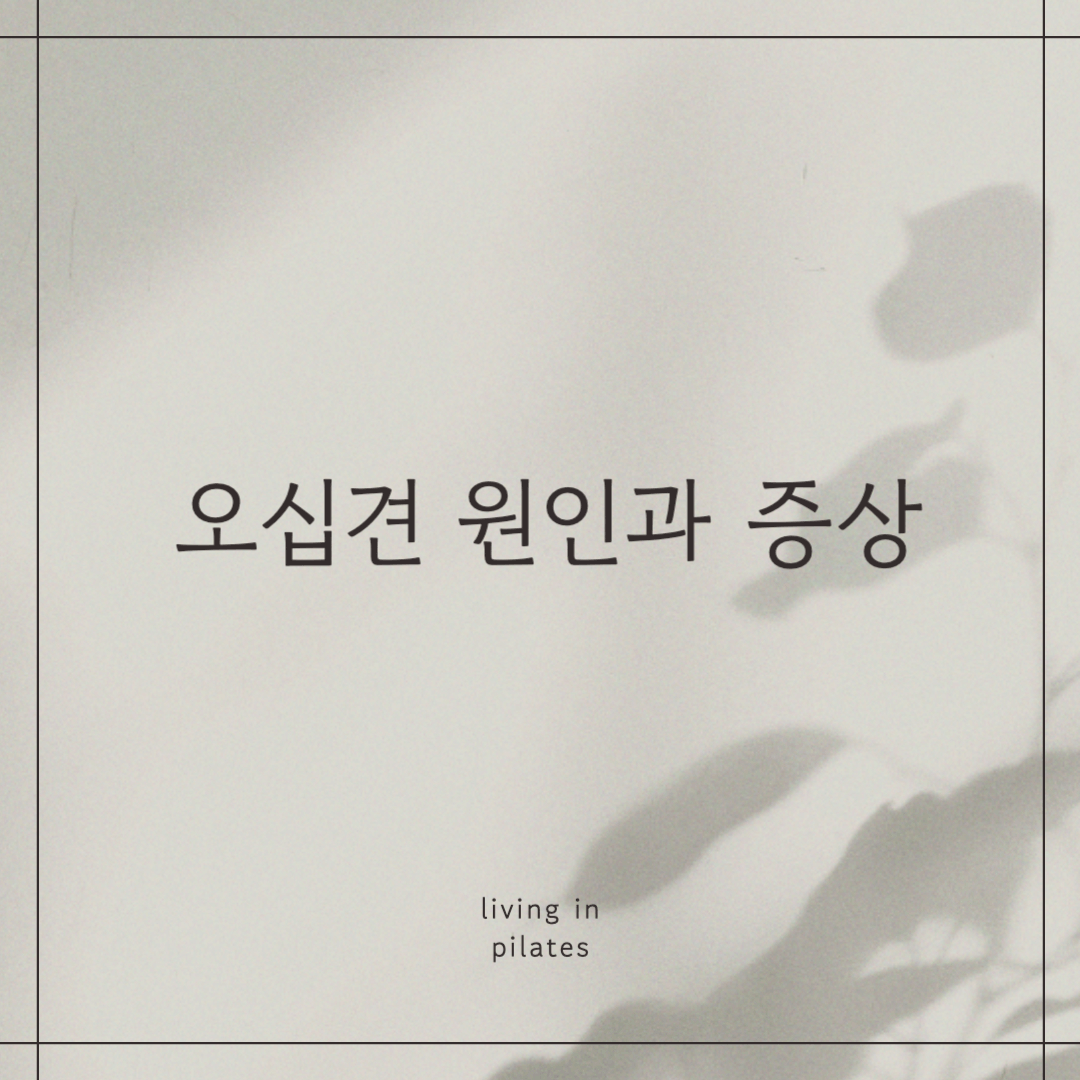 오십견 원인과 증상