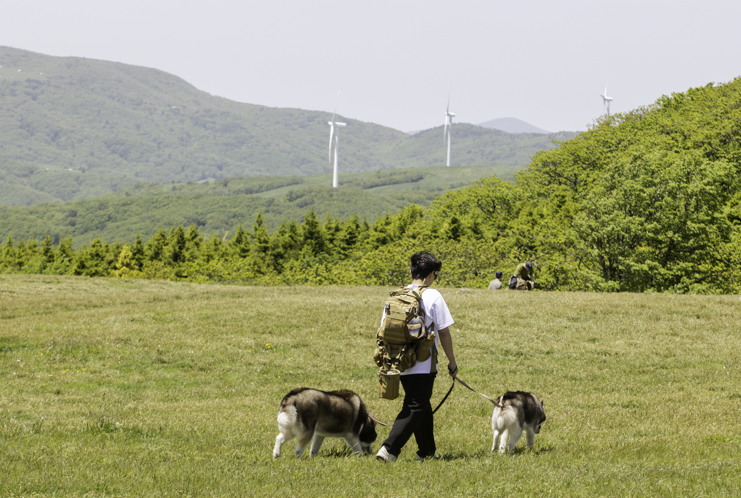tnf100korea tnf100gangwon 노스페이스 트레일러닝대회 선자령 트레일러닝