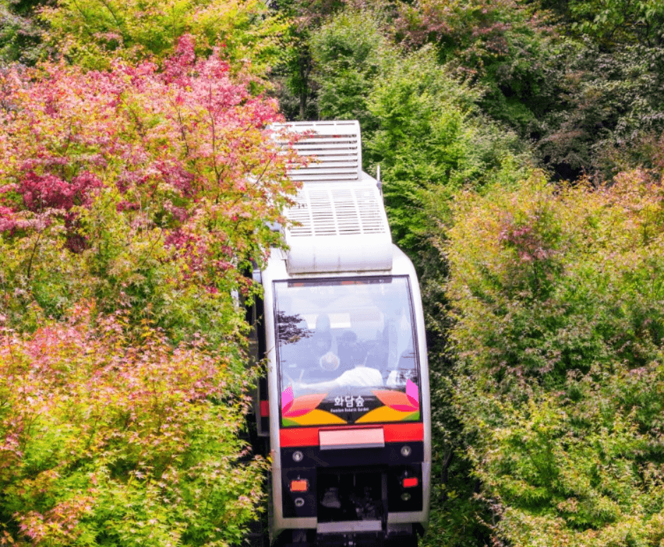 단풍축제 화담숲