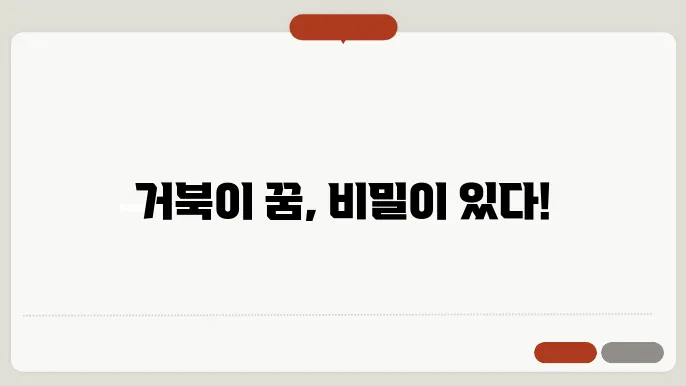 거북이 꿈 해몽 알아보기