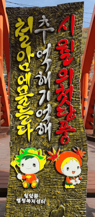 태백시 철암 단풍군락지