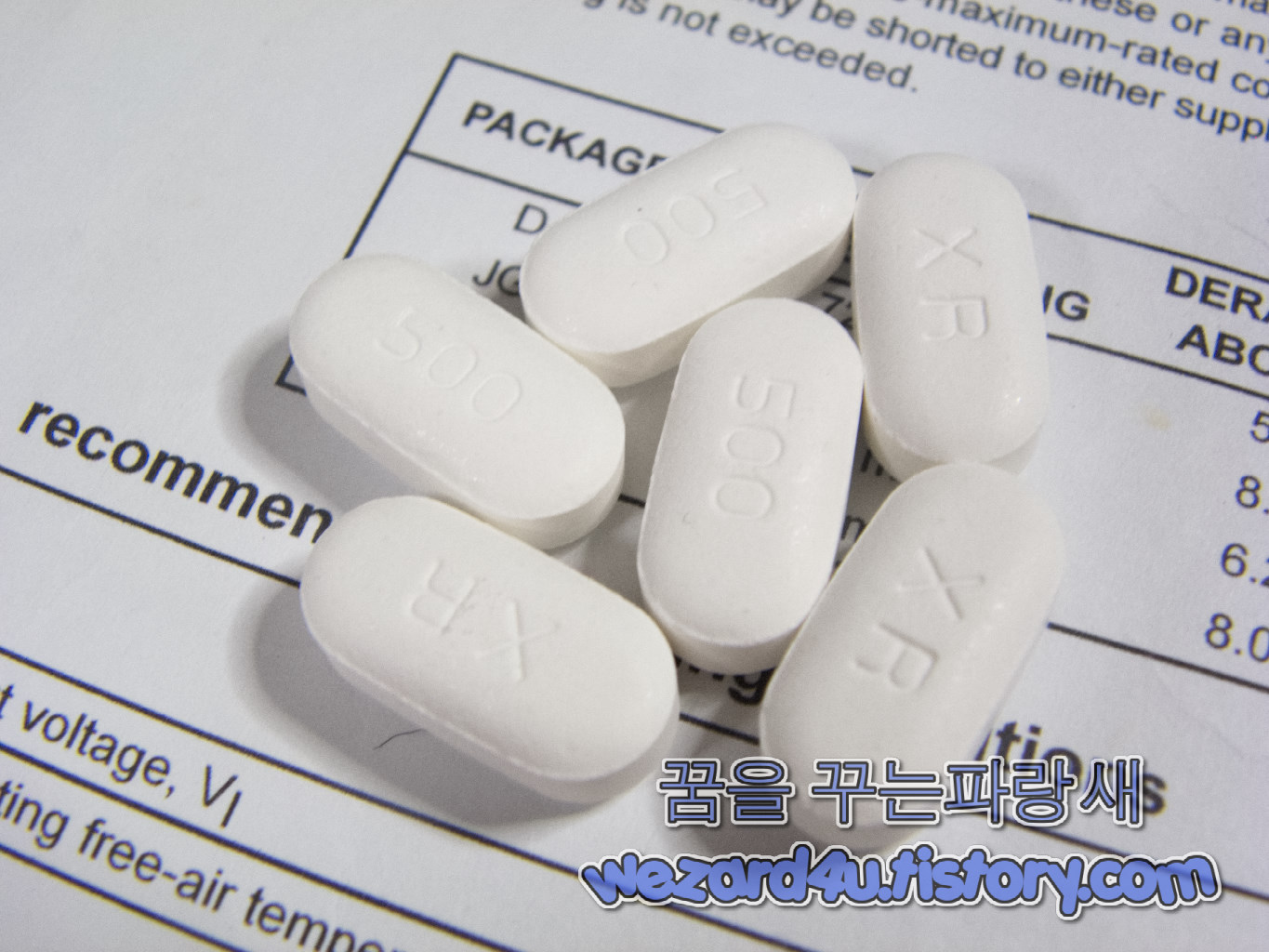 글루코파지 엑스알 정(Glucophage XR tab) 500mg