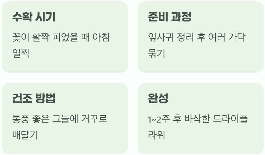 영원히 간직하는 법&amp;#44; 드라이플라워