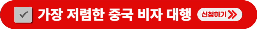 가장-저렴하게-비자-대행하는-방법