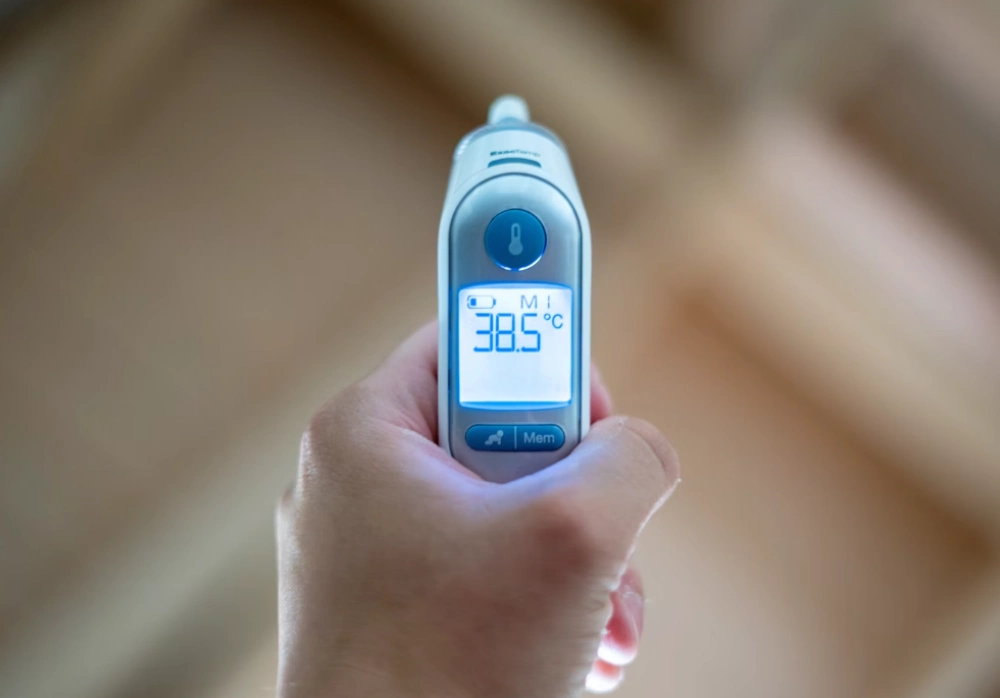 일본뇌염 접종열