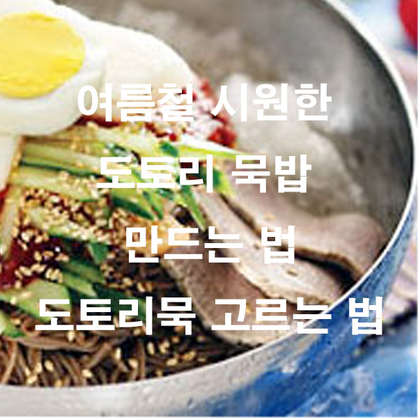 여름철 시원한 도토리 묵밥 만드는 법 도토리묵 고르는 법