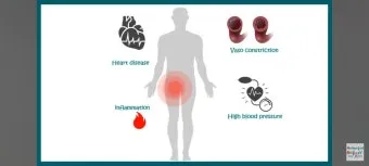 뇌건강 오메가3 DHA EP A 비율 최적화 치매 예방 완벽 가이드로 섭취비법_4