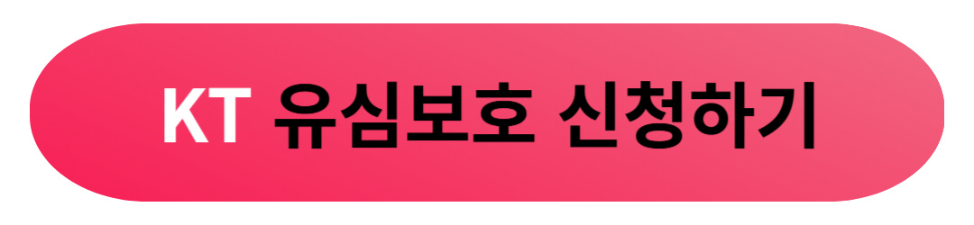 통신사 유심보호서비스 외에 꼭 신청해야 하는 명의도용방지 방법 및 주의할 점