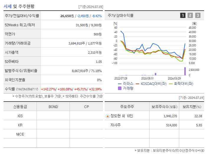 라파스_기업개요