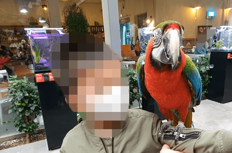 실내동물원-앵무세체험