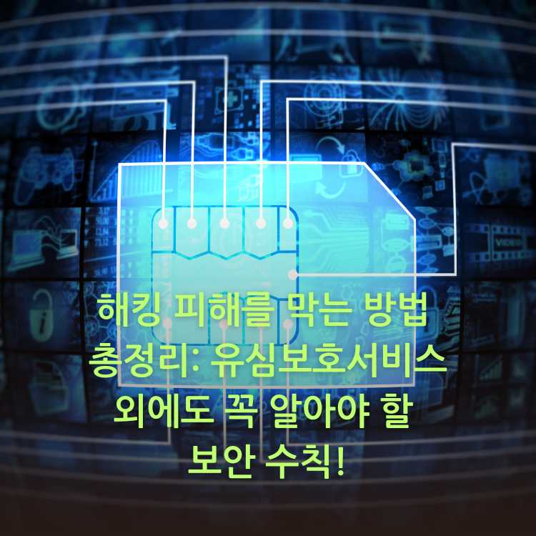 <img src="해킹-피해를-막는-방법-총정리.jpg" alt="유심의-이미지">