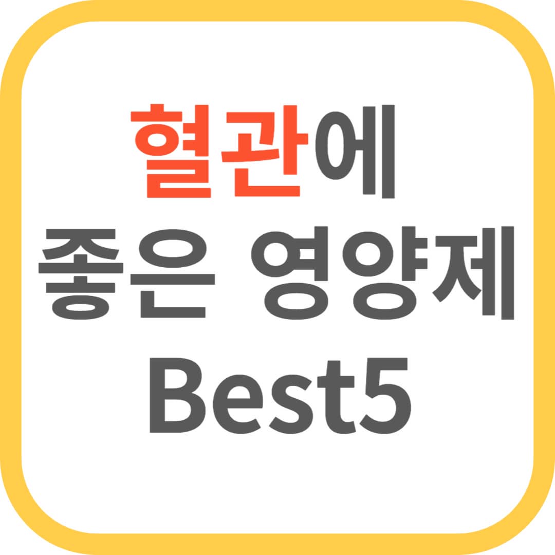 혈관에 좋은 영양제