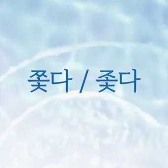 좇다 쫓다 맞춤법 맞는 표현 예문_20