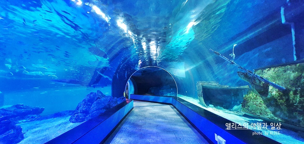 부산 실내 전시관 가볼만한곳 BEST 10