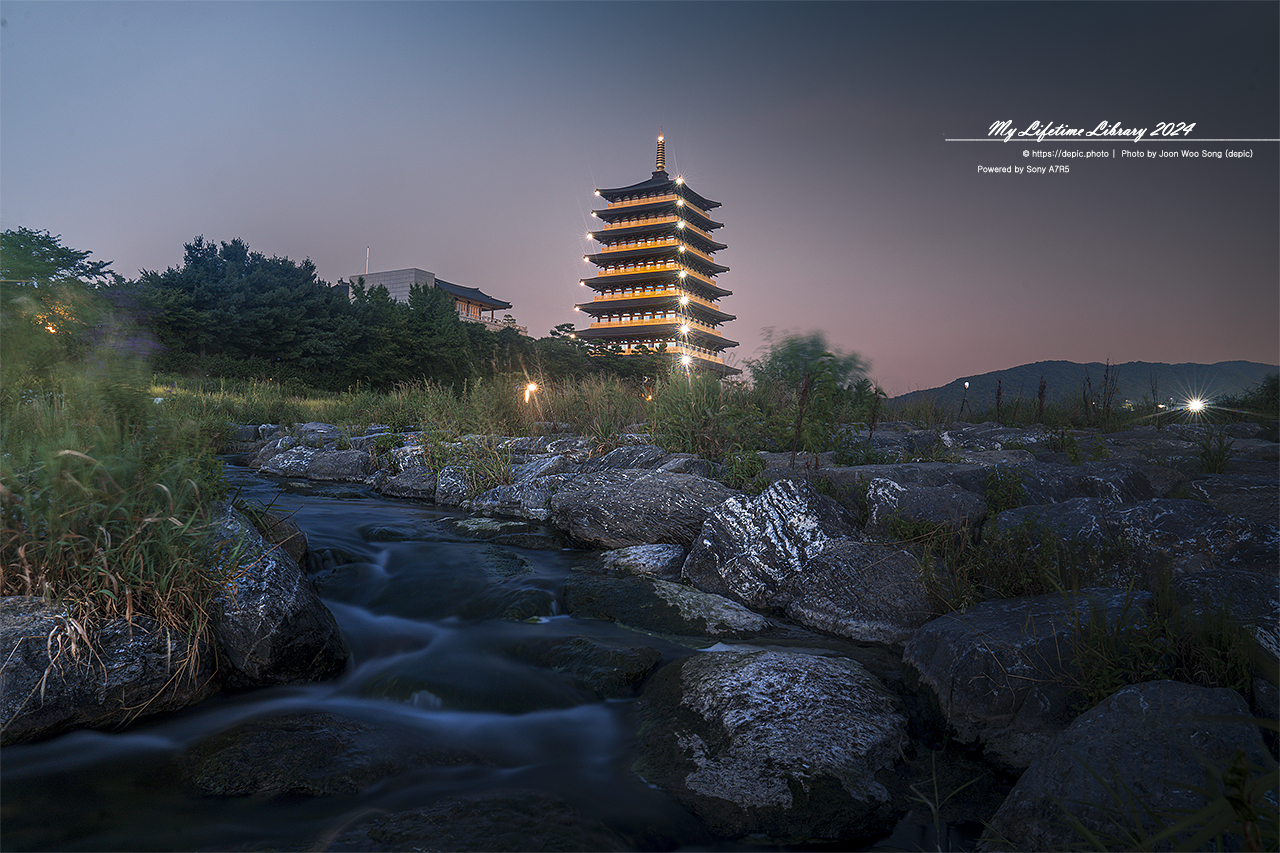 경주 황룡원 야경