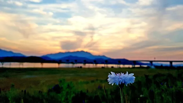 경북 구미 금오산 정상 약사암 등산코스 및 풍경 안내_6