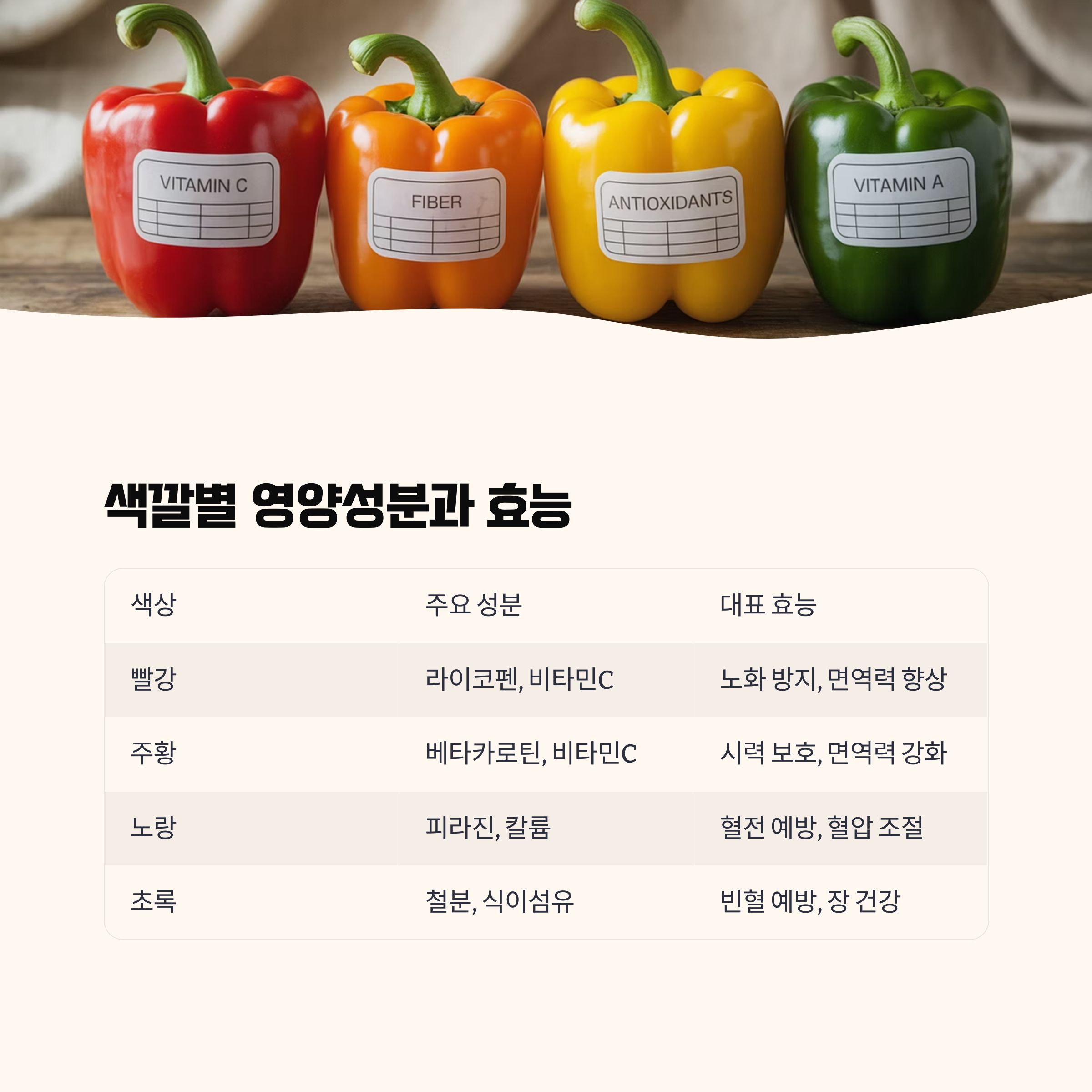 색깔별 영양성분과 효능 한눈에 보기