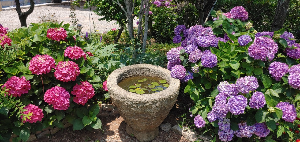 통영 가볼만한 곳 물빛소리정원