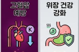 콜라비 효능