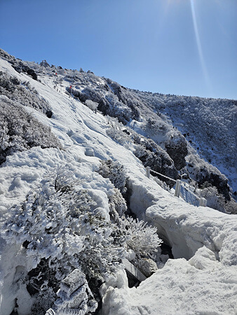 제주도 겨울 트레킹 명소 BEST 5&amp;#44; 한라산&middot;절물&middot;사려니&middot;비자림&middot;용머리해안 코스 정리