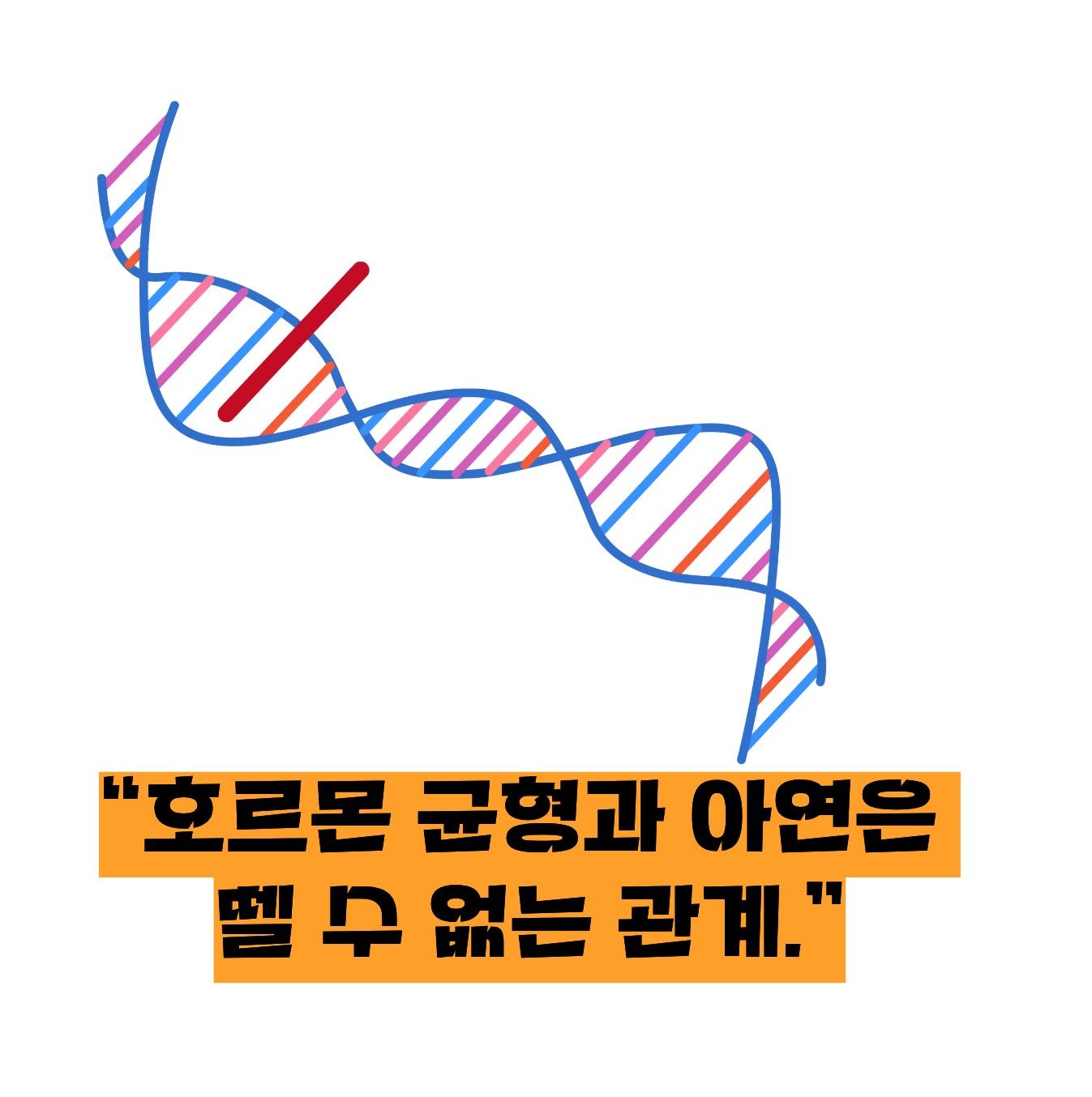 아연의 호르몬의 관계 이미지