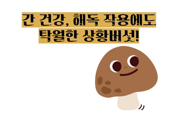 상황버섯 효능 부작용