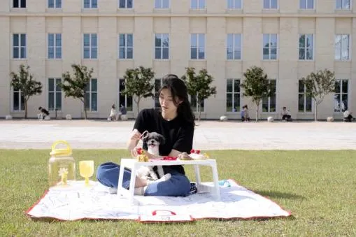 서울공예박물관 펫크닉