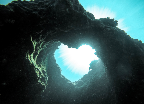 심해 탐험: 인간이 접근할 수 없는 미지의 세계로의 여행