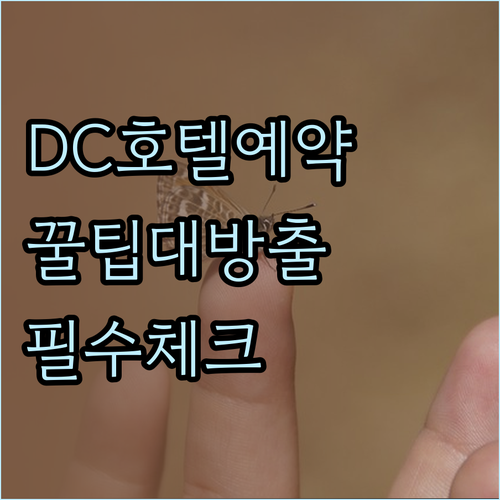 워싱턴 D.C. 호텔 예약 전 꼭 확