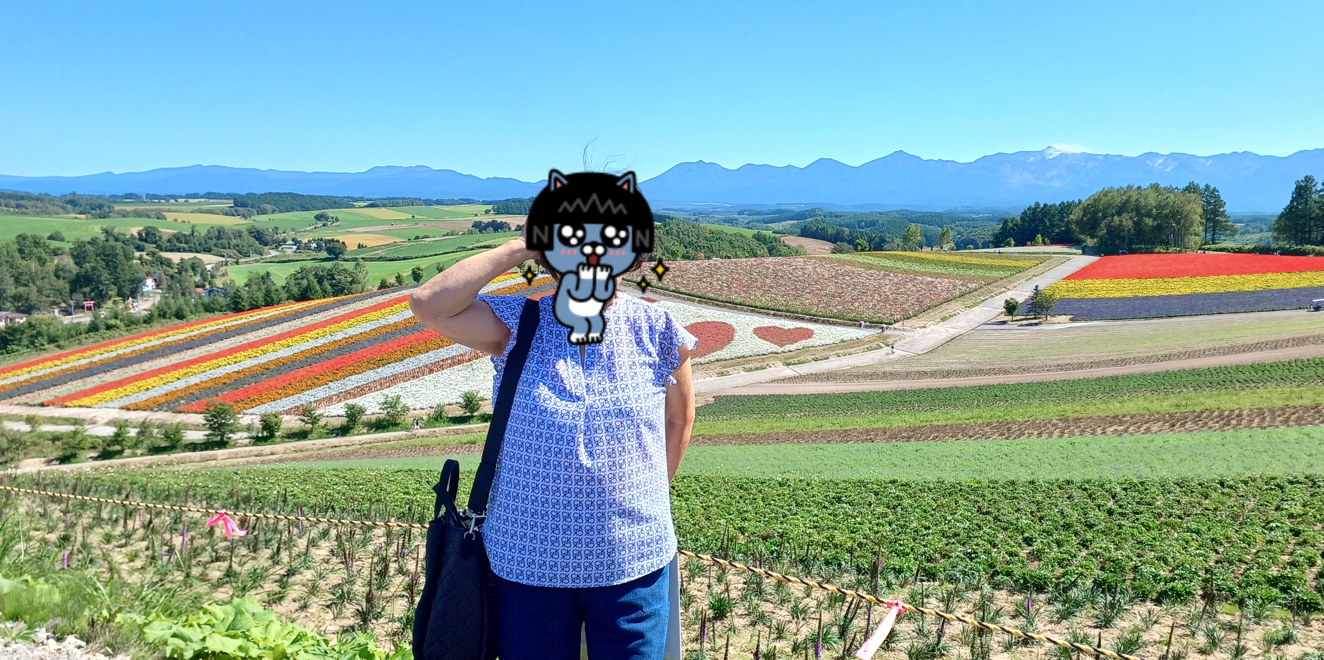 삿포로-비에이-투어-청의호수-사계채의언덕-2