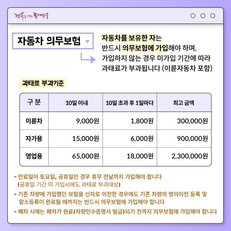 자동차보험