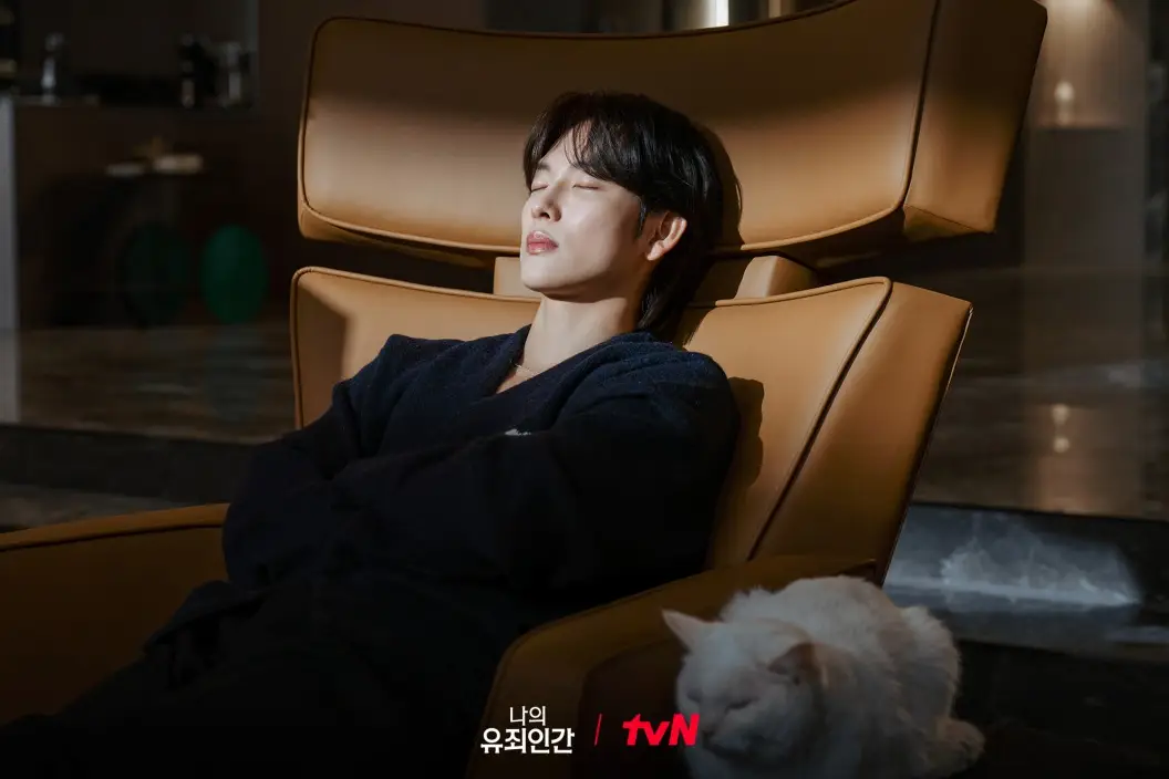 나의-유죄인간-출연진-OTT-기본정보