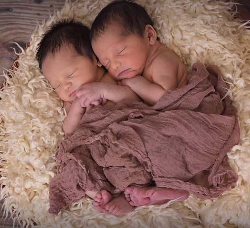 일란성 vs 이란성 쌍둥이 차이와 특징